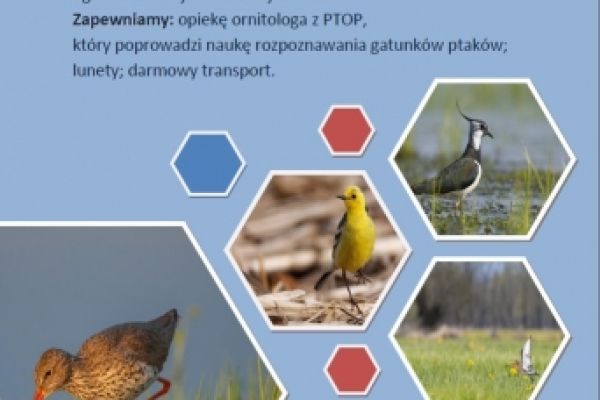 Wycieczka ornitologiczna 2019