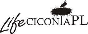 life ciconiaPL