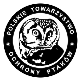 PolskieTOP LOGO