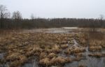 tok2IMG_3021