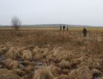 tokIMG_3025