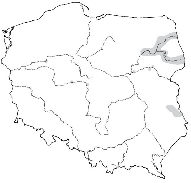Obszary_wystpowania_dubelta_w_Polsce