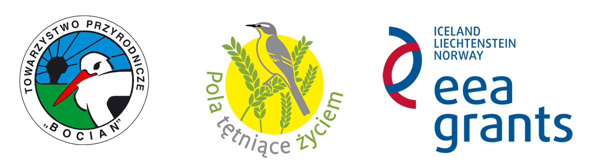 Logosy3