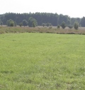 laka
