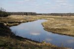 Narew w Koźlikach
