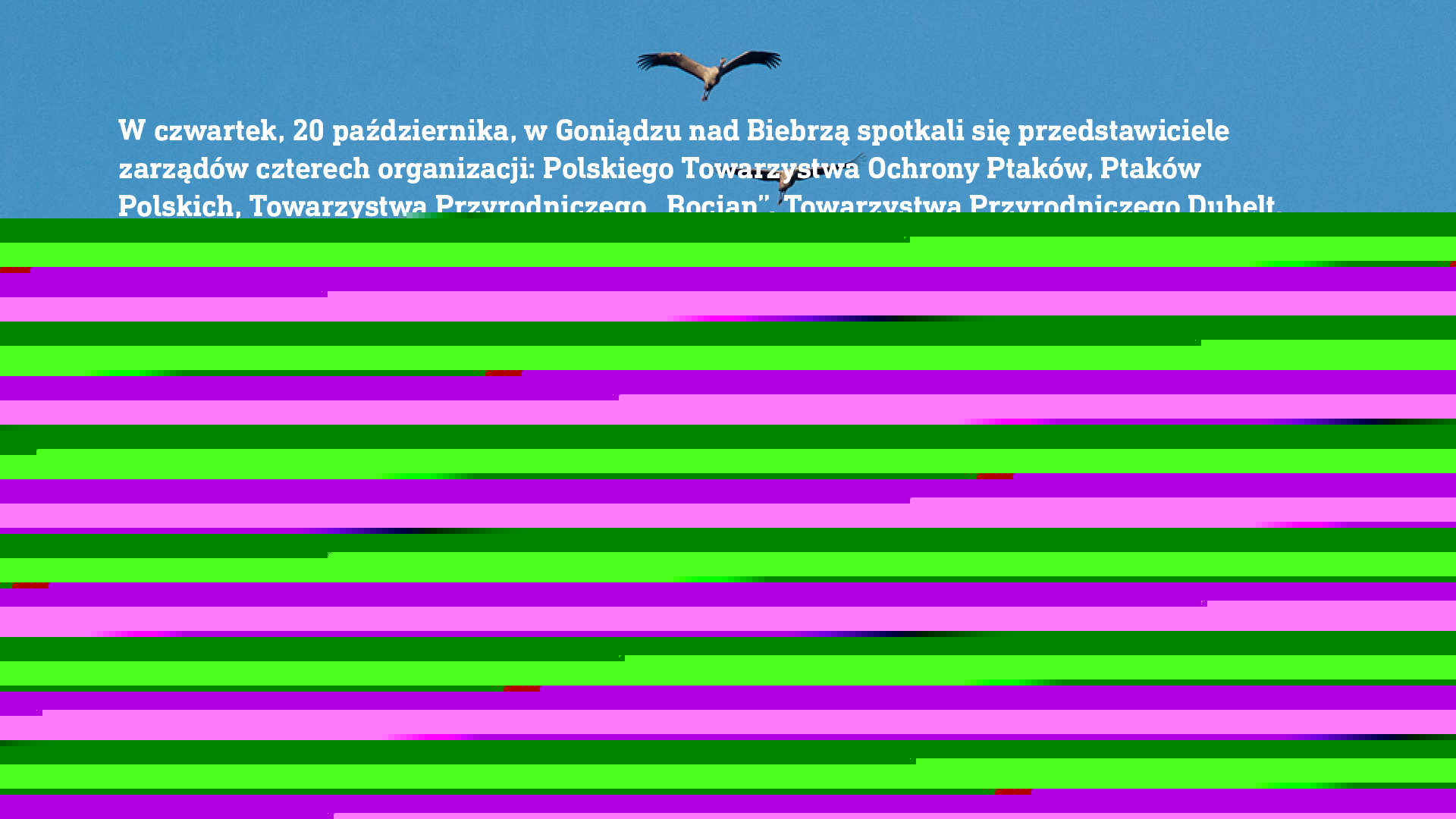 polaczenie_w2