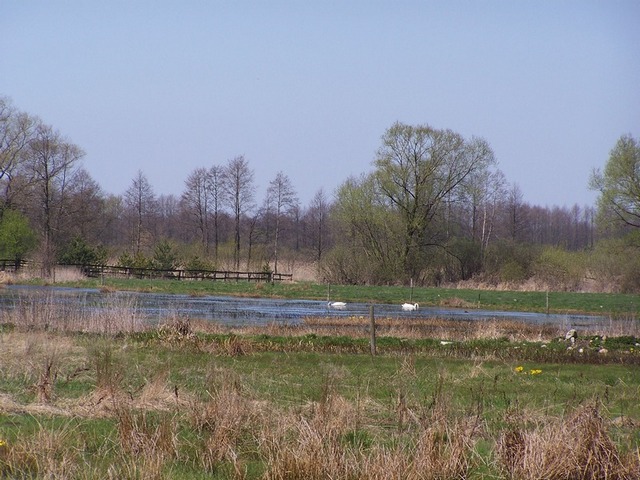 Okolice Rogówka, Fot. Archiwum PTOP