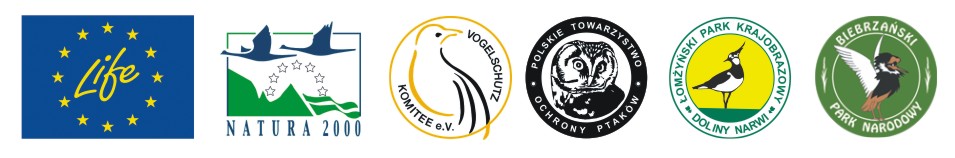 logotypy_do_maila