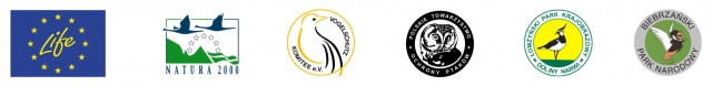 logotypy_nowe