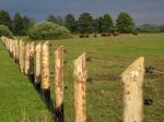 thumb_DSC01408
