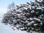 Drewno_w_Kalitniku