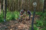Korowanie_żerdzi_na_ogrodzenie