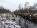 Rów odwadniający. Fot. M. Potocka
