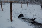 Przepusty z kratą zabezpieczającą przed działalnością bobrów. 