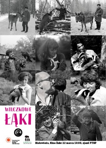 wilczkowe
