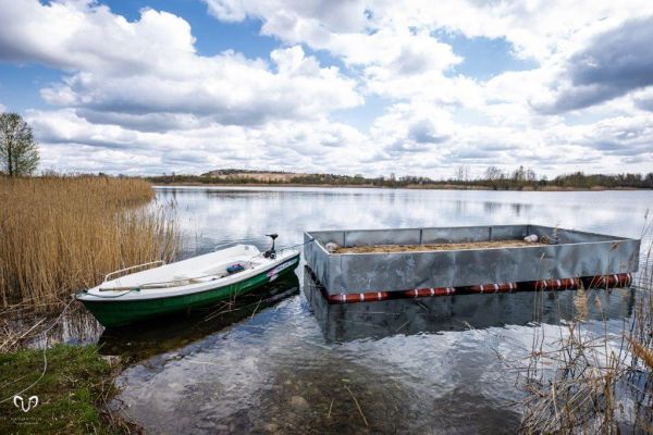 Budowa pływającej wyspy dla rybitw rzecznych