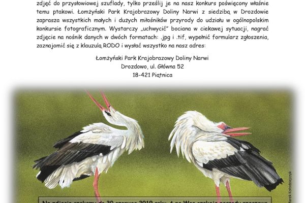 Zapraszamy do wzięcia udziału w konkursie fotograficznym!