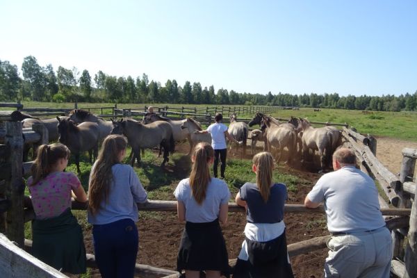 Podsumowanie trzeciego workcampu w Kalitniku