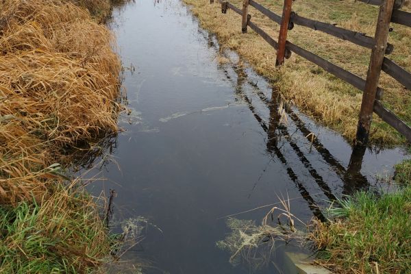 Ważna woda. Wyniki monitoringów – hydrologicznego, fitosocjologicznego i lęgowych ptaków siewkowych