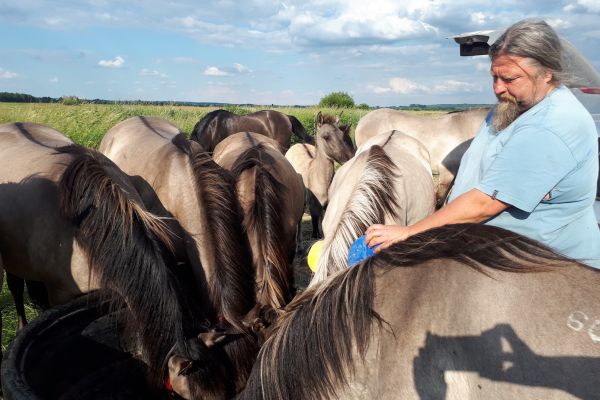 Ruszyły turnusy dla wolontariuszy