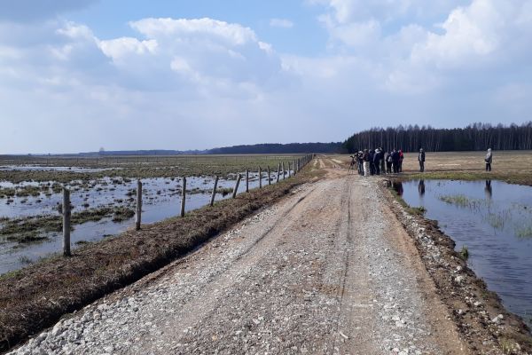 Podsumowanie wycieczki ornitologicznej Doliną Górnej Narwi