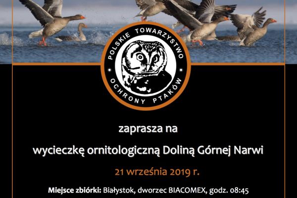 Wycieczka ornitologiczna malowniczą Doliną Górnej Narwi